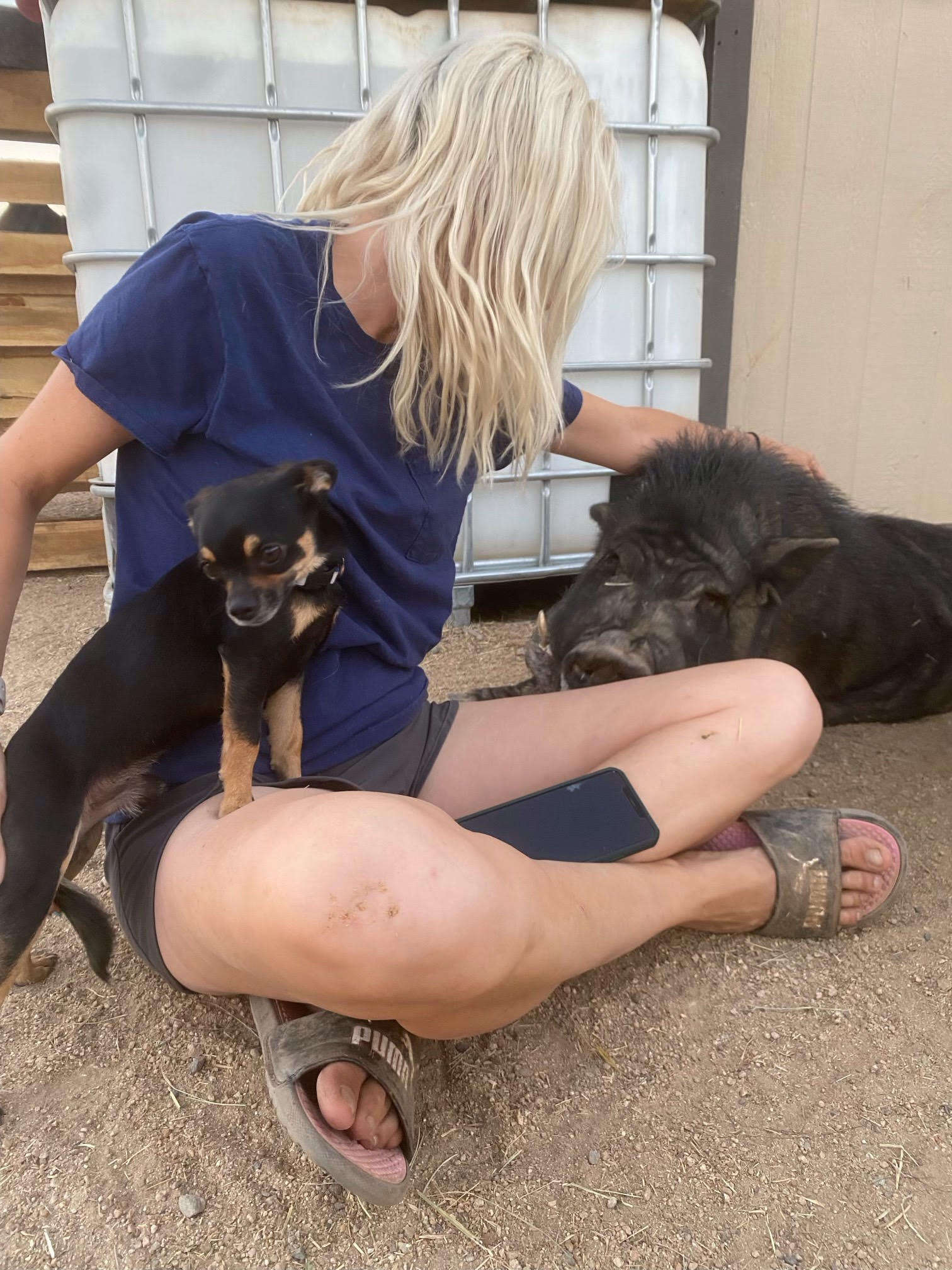 woman sitting with pig and dog 