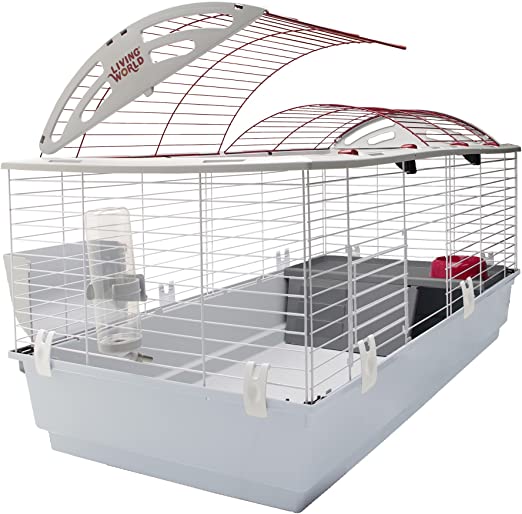 Guinea pig cages big enough best sale for two