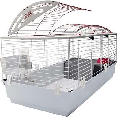 Guinea Pig Cages: How to Pick the Right Size - AZ Animals