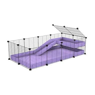 Guinea Pig Cages: Here Are The 6 Best Options - DodoWell - The Dodo