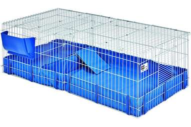 Guinea Pig Cages Here Are The 6 Best Options DodoWell The Dodo