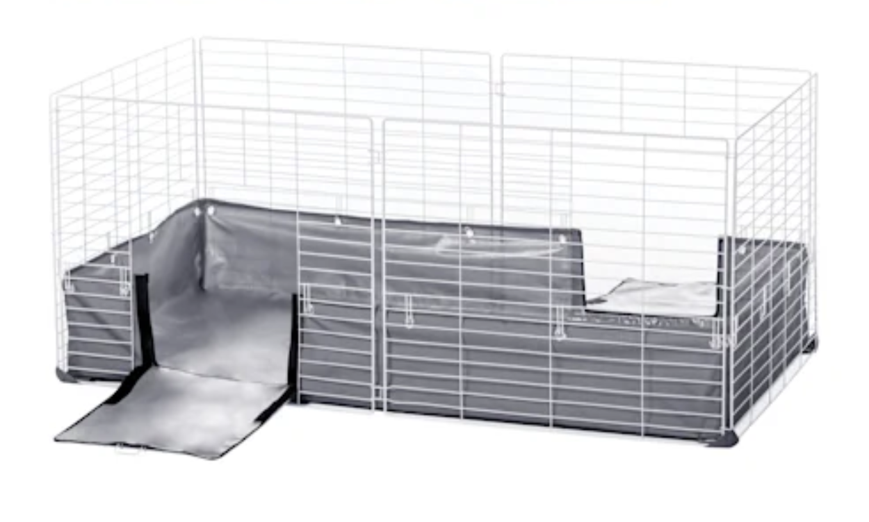 Best cage for 2024 two guinea pigs