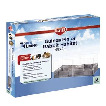 Guinea Pig Cages: Here Are The 6 Best Options - DodoWell - The Dodo