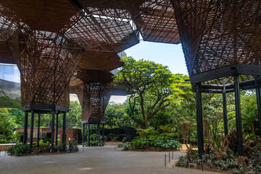 medellin botanical garden