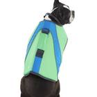 Best dog life vest: YOULY The Beach Bum Ultimate Dog Flotation Vest