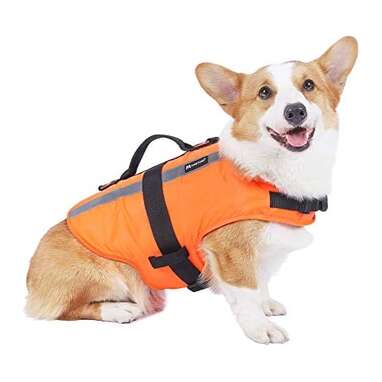 Best overall: Outward Hound Granby RipStop Dog Life Jacket