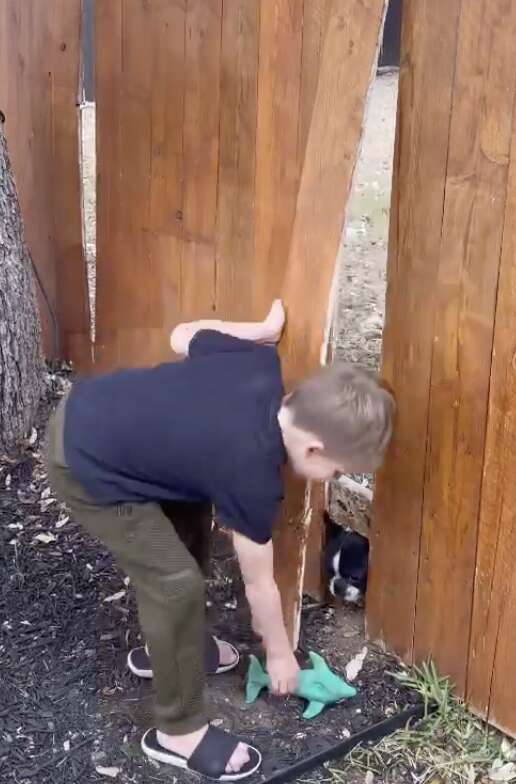 A boy plays with a small dog through the fence.