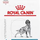 Best hydrolyzed protein dog food: Royal Canin Veterinary Diet Adult Hydrolyzed Protein HP Dry Dog Food
