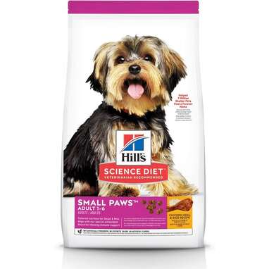 Healthiest Dog Food What To Look For And 12 Vet Approved Options DodoWell The Dodo