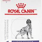 Best senior dog food: Royal Canin Veterinary Diet Adult Mature Consult Medium Breed Dry Dog Food