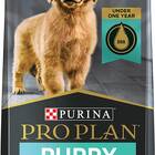 Best puppy food: Purina Pro Plan High Protein Dry Puppy Food, Chicken and Rice Formula
