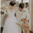Stray Dog Crashes Couple’s Wedding — And Becomes A Part Of Their Family