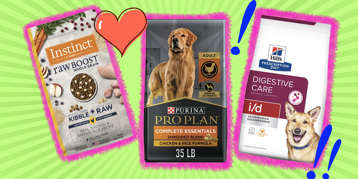 Best purina outlet dog food