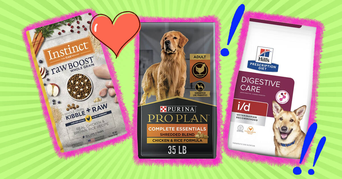 Safest and shop healthiest dog food