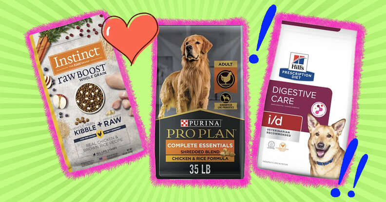 Best dog food hot sale recommended by veterinarians