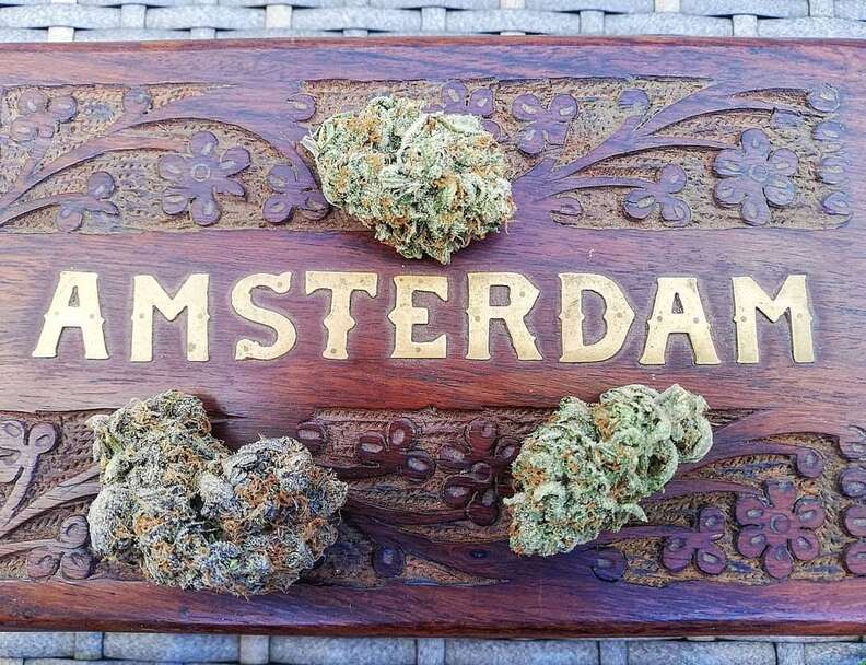 Amsterdam weed