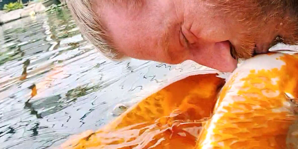 Man Swims With His Fish - Videos - The Dodo
