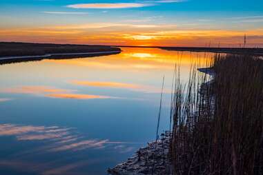 Texas Parks and Wildlife