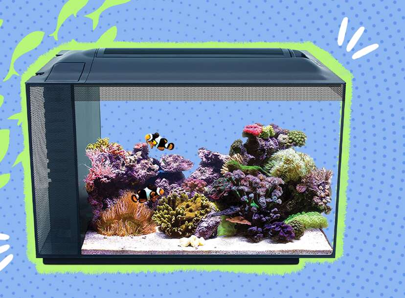 Saltwater fish tank store kit