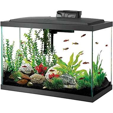 Best For Large Spaces: Tetra 55 Gallon Aquarium Kit 