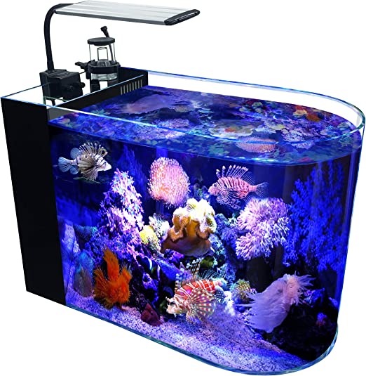 Saltwater Aquarium Starter Kit