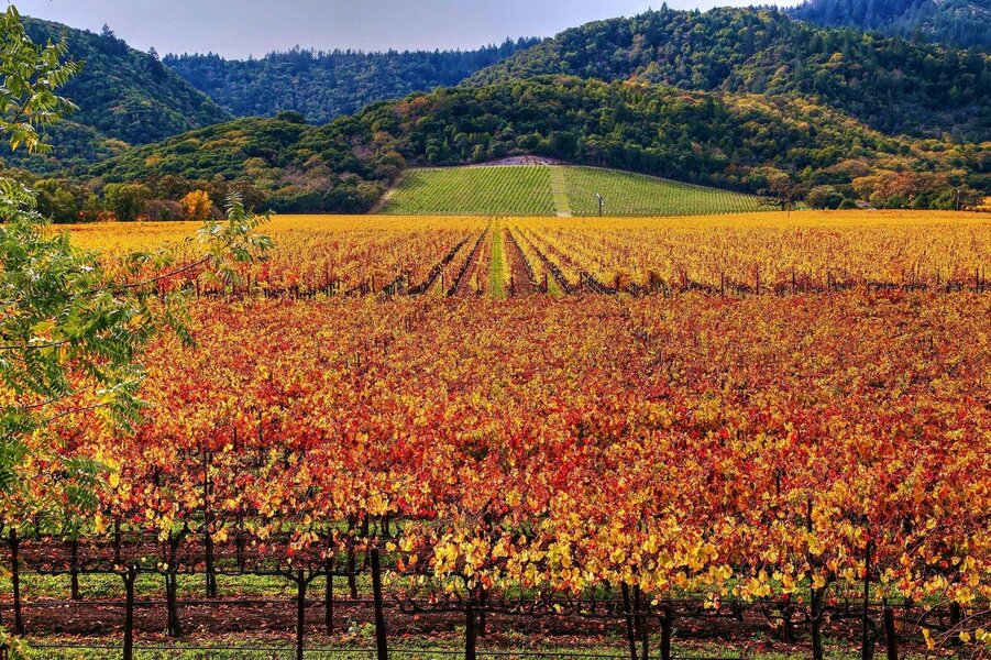 Best Things to Do in Santa Rosa, California - Thrillist