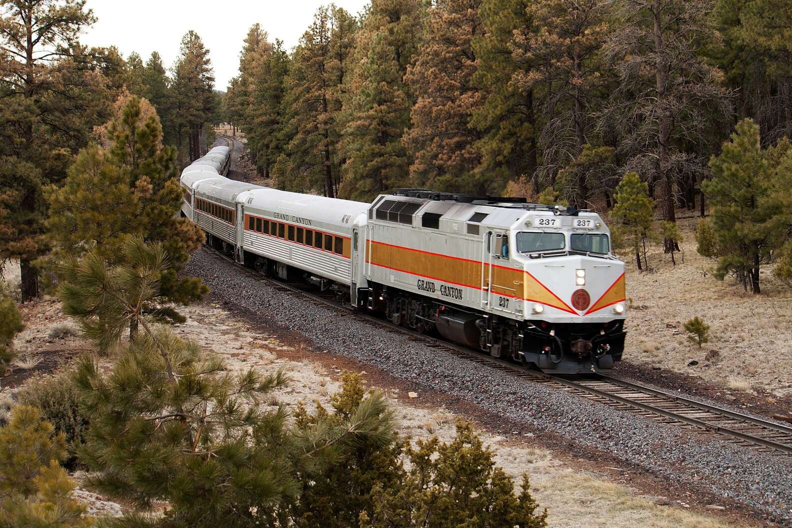 Best Scenic Train Rides in the US: Trips & Vacations to Take By Train ...