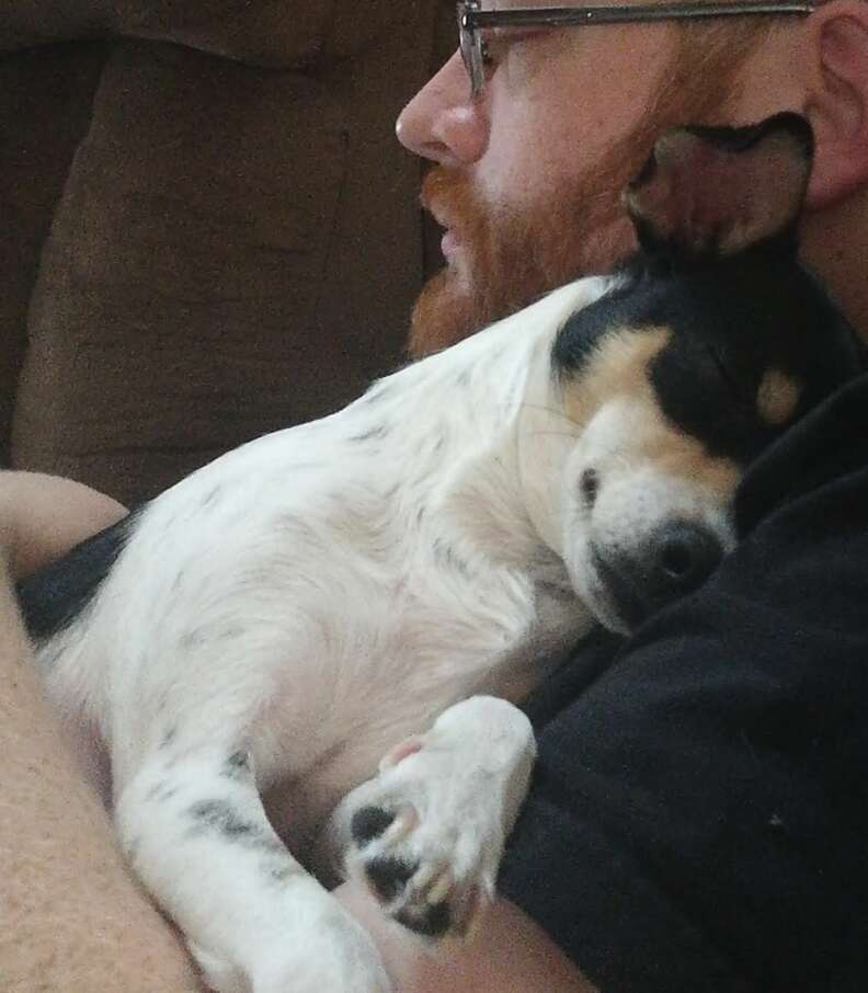 Small dog snuggles with Dad.