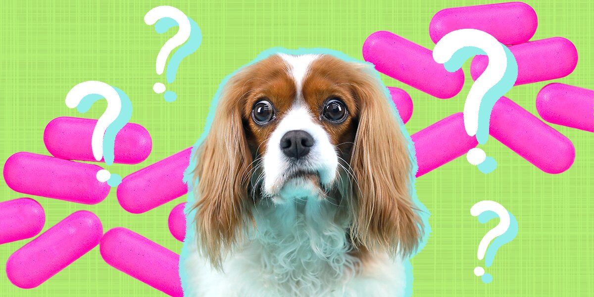 Does benadryl cause store constipation in dogs