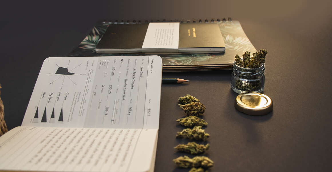 Cannabis University Courses in New York: Governor Announces $5 Million Funding - Vimarsana News