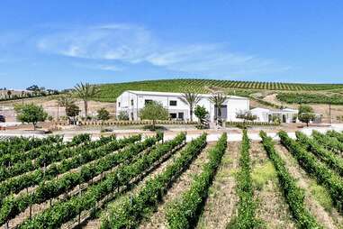 Akash Winery & Vineyards