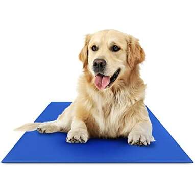 Best cooling mat: The Green Pet Shop Dog Cooling Mat 