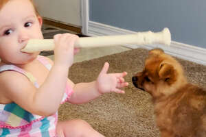 a baby playing a recorder next to a dog