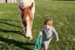 baby and horse walking together