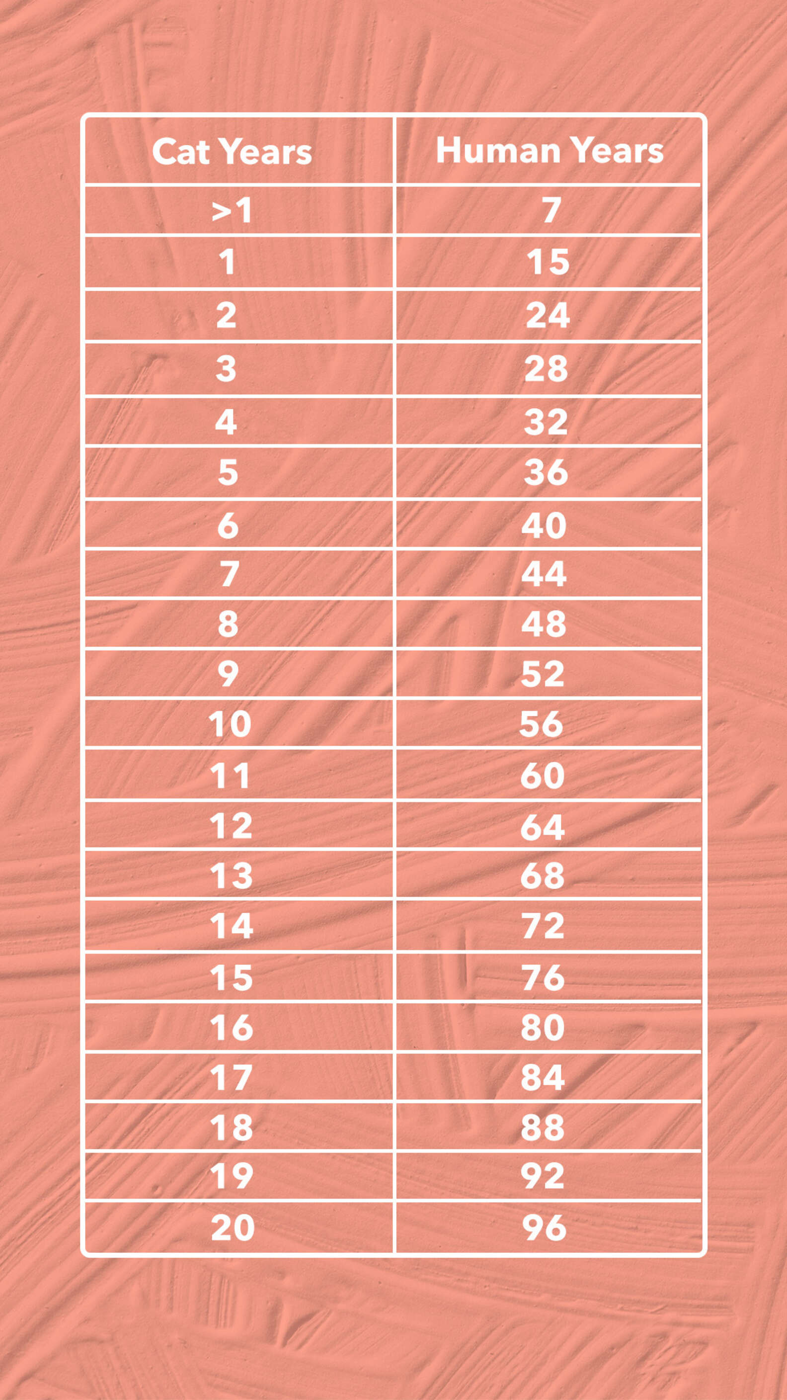 cat-years-to-human-years-how-to-calculate-your-cat-s-age-dodowell