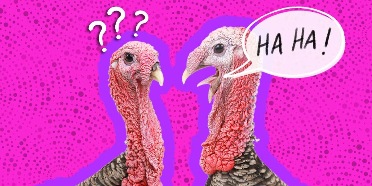 25 Turkey Jokes That Will Make Your Kid Laugh So Hard They’ll Gobble ...