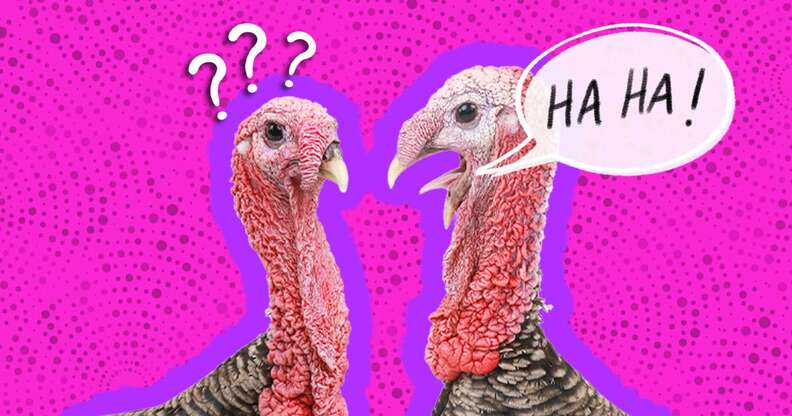 25 Turkey Jokes That Will Make Your Kid Laugh So Hard They’ll