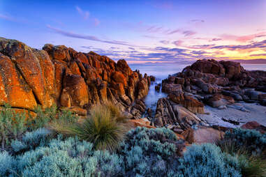 beerbarrel beach, tasmania beautiful beaches