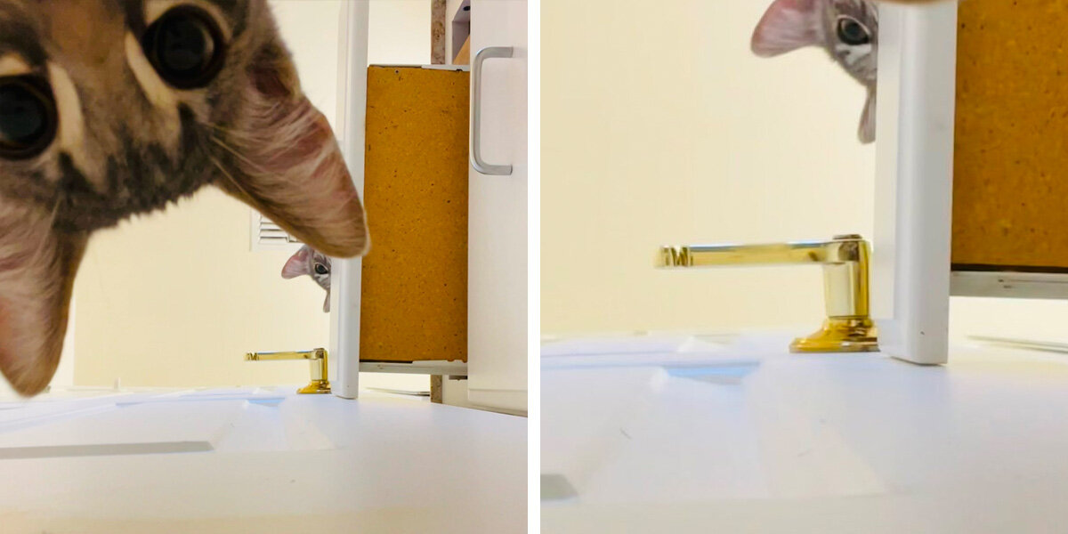 Cat bathroom door sale