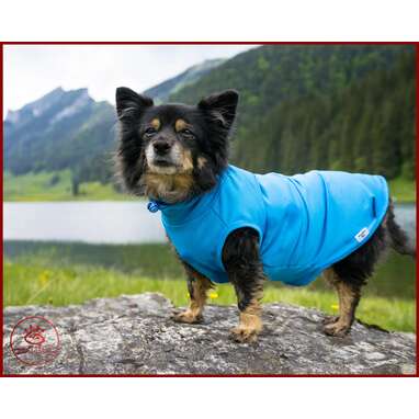 Sun Protective Dog Clothing