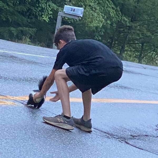 boy saving skunk in road 