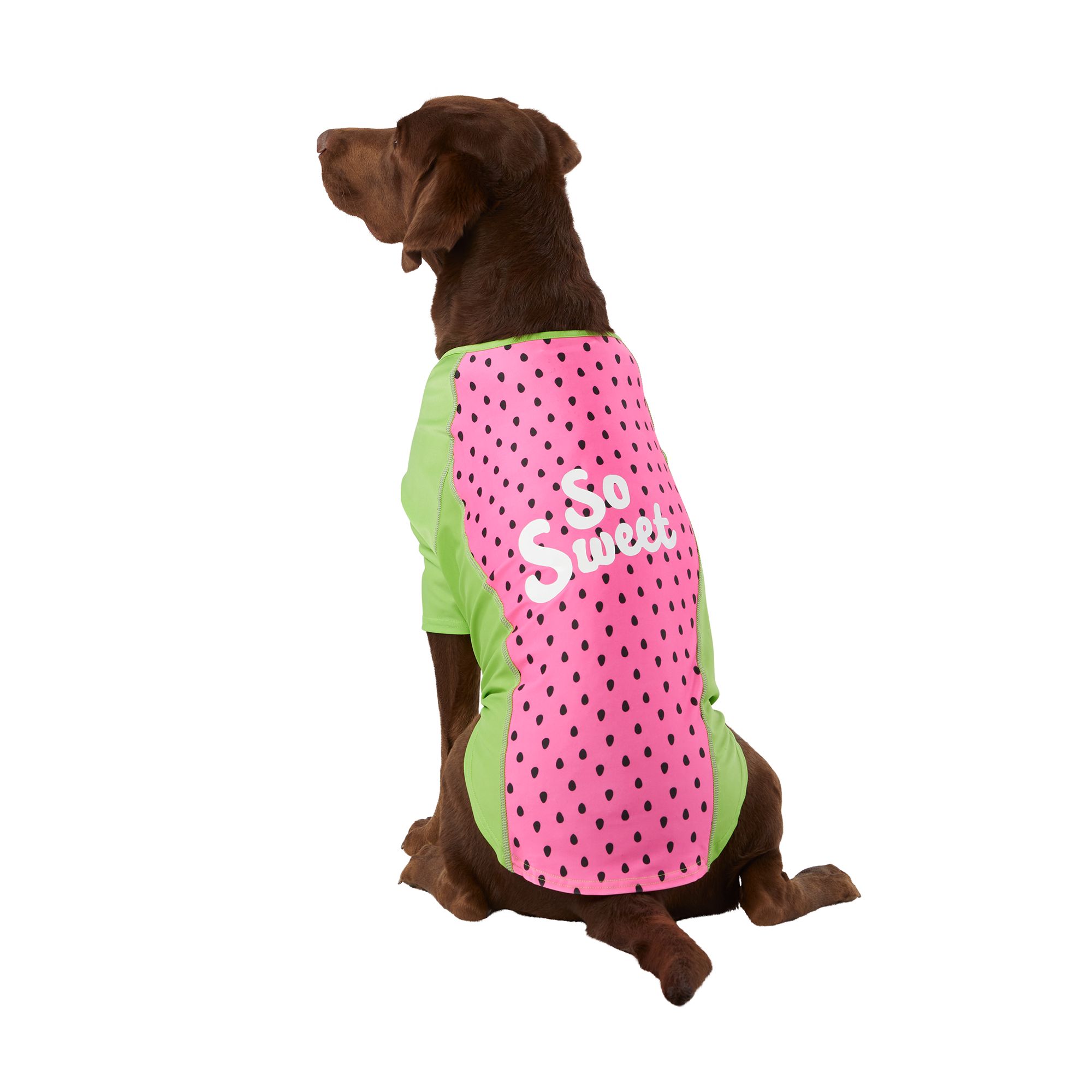 Sun Protective Dog Clothing