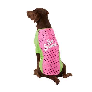 Dog sun protection outlet suit