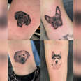 dog face tattoos