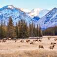 Banff National Park