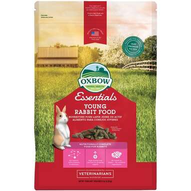 Rabbit Food 5 Healthy Options To Feed Your Bunny And What To Avoid DodoWell The Dodo