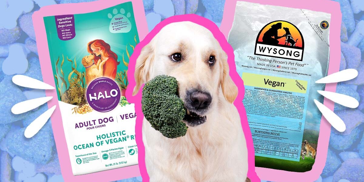 Vegan dog hot sale diet plan