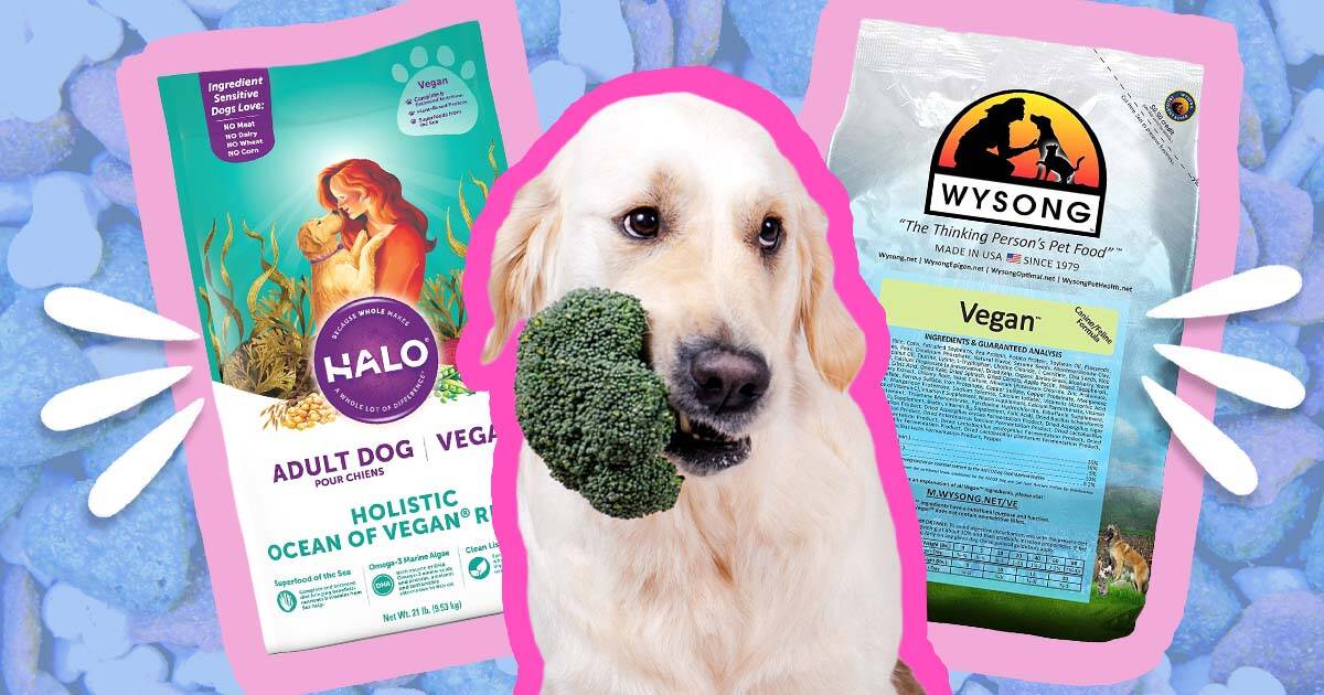 Halo vegetarian dog food sale