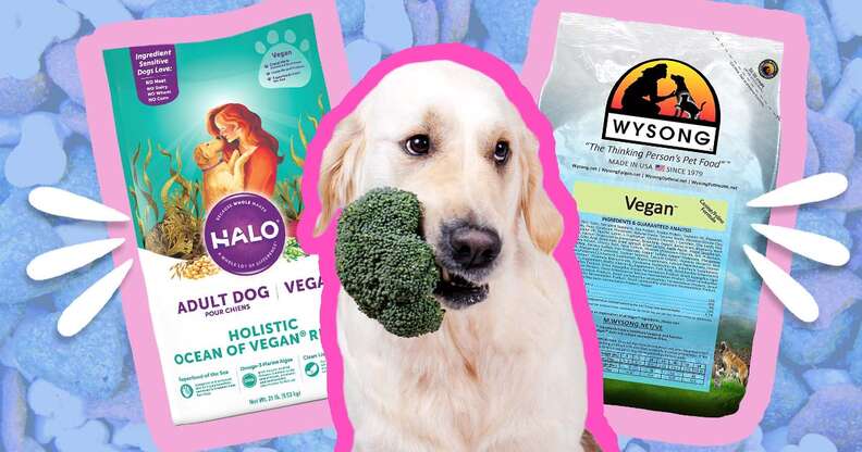 Dog plant based store diet