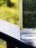 This Daiquiri Will Transport You to the Jungles of Southern Belize